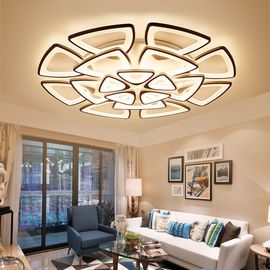 Adjustable Acrylic ceiling lights for Living room Bedroom Kitchen Lighting Fixtures (WH-MA-58)