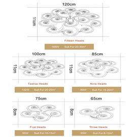 Modern luxury ceiling lights with Remote Control For Study bedroom Lighting Fixtures (WH-MA-61）