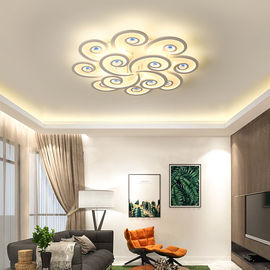 Modern luxury ceiling lights with Remote Control For Study bedroom Lighting Fixtures (WH-MA-61）