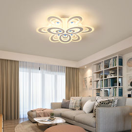 Beautiful bedroom ceiling lights led acrylic ceiling light For Living room Bedroom (WH-MA-62)