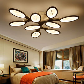 Simple bedroom ceiling lights for Living room Bedroom Kitchen (WH-MA-63)