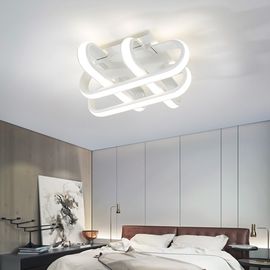 Pretty Modern ceiling Lights for Indoor house ceiling decoration Lamp (WH-MA-110)