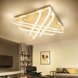 Pretty Modern ceiling Lights for Indoor house ceiling decoration Lamp (WH-MA-110)