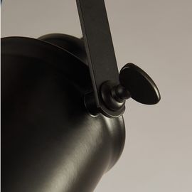 Industrial farmhouse retro Ceiling Spot Lamp For Coffee clothing shop Lighting (WH-LA-02)