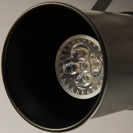 Industrial farmhouse retro Ceiling Spot Lamp For Coffee clothing shop Lighting (WH-LA-02)