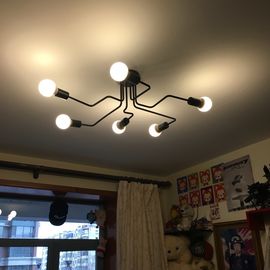 Vintage retro industrial ceiling lighting for indoor home Lighting Fixtures (WH-LA-12)