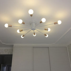 Rustic industrial ceiling lighting For indoor home Ceiling Decoaration (WH-LA-15)