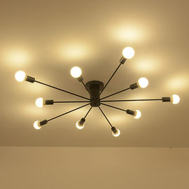 Rustic industrial ceiling lighting For indoor home Ceiling Decoaration (WH-LA-15)