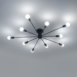 Rustic industrial ceiling lighting For indoor home Ceiling Decoaration (WH-LA-15)