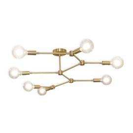 Black Gold industrial ceiling light Fixtures For Indoor home ceiling Decoration (WH-LA-17)