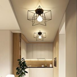 Industrial cage retro ceiling Lights Fixtures For Hallway Bedroom Indoor Lighting (WH-LA-19)