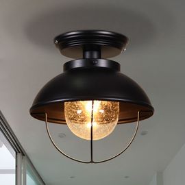 Contemporary industrial ceiling lighting Fixtures Black Color For home lamp (WH-LA-21)