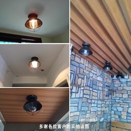 Contemporary industrial ceiling lighting Fixtures Black Color For home lamp (WH-LA-21)
