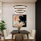 Decorative hanging pendant lights for living room Bedroom Lighting Fixtures (WH-AP-08)