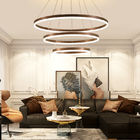 Decorative hanging pendant lights for living room Bedroom Lighting Fixtures (WH-AP-08)