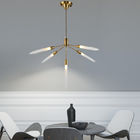 Simple Designer pendant lamp fpr indoor home Lighting Fixtures (WH-AP-68)