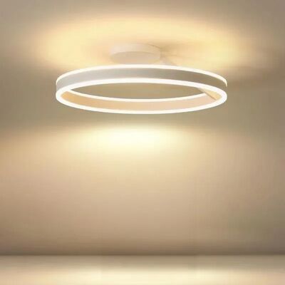 Modern LED Ceiling Light Home Decor Circular Lamps Fixtures （WH-AP-713）
