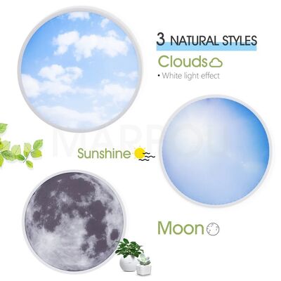 Home Decor Lamp Bedroom Aisle Living Room LED Modern Blue Sky Moon Ceiling Light(WH-MA-319)