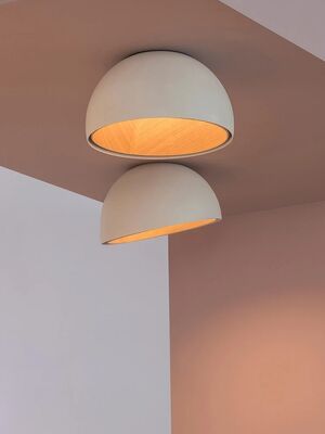 aisle lights living room Entrance lamp Wood Grain Personality Designer Minimalist ceiling lamp(WH-MA-332)