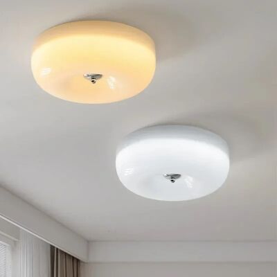 Bedroom Light Living Room French Aisle Balcony Surface Mounted Bauhaus Glass Ceiling Lamp(WH-MA-343)