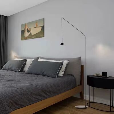Hotel Standing Lamp Parlor Bedroom Minimalist Black Metal Estiluz Cupolina Floor Lamp(WH-VFL-22)