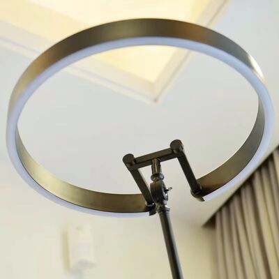 Home Decor Light Fixture Living Room Coffee Tables Ring Design LED Mito Largo Floor Lamp(WH-VFL-29)