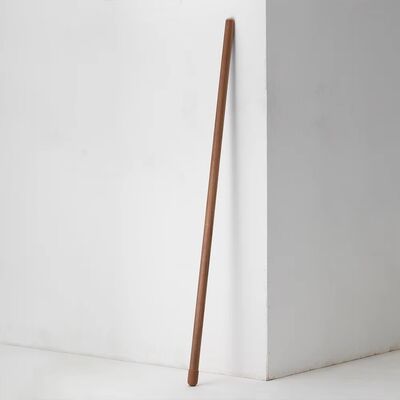 Atmosphere Lamp Living Room Sofa Nordic Black Walnut Ash Stay Against Wall Floor Lamp(WH-VFL-33)