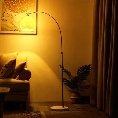 Home Decoration Lamp Study Sofa Coffee Table Reading Minimalist Fishing Floor Lamp(WH-MFL-209)