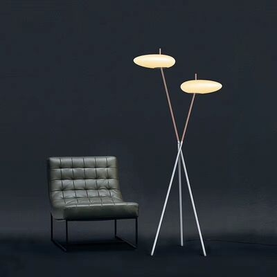 Bedroom Led Lights Living Room Decorations Postmodern Designer Floor Lamps(WH-MFL-220)