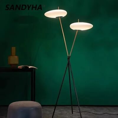 Bedroom Led Lights Living Room Decorations Postmodern Designer Floor Lamps(WH-MFL-220)