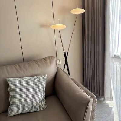 Bedroom Led Lights Living Room Decorations Postmodern Designer Floor Lamps(WH-MFL-220)