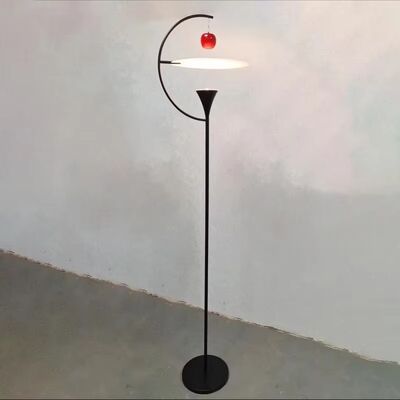 Art Decor Lighting Living Room Atmosphere Light Minimalist Designer Nemo Newton Floor Lamp(WH-MFL-221)