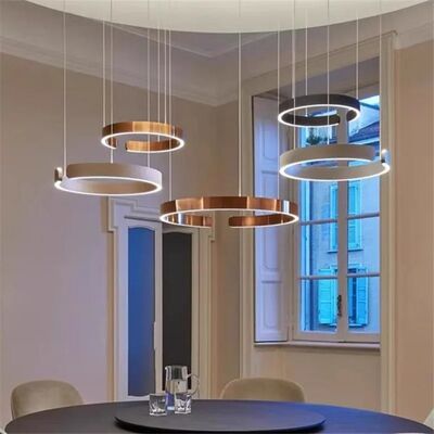 Mito sospeso chandelier Nordic Led Dimmable ring light staircase lamp (WH-NC-134)