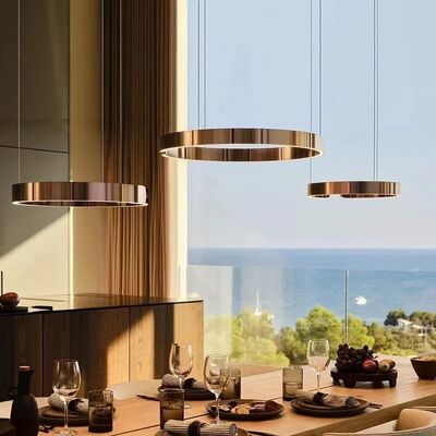 Mito sospeso chandelier Nordic Led Dimmable ring light staircase lamp (WH-NC-134)