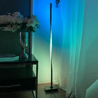 Modern LED Floor Lamps Lighting Living Room Floor Lamp Bedroom Bedside Dimming corner floor lamp（WH-MFL-02)
