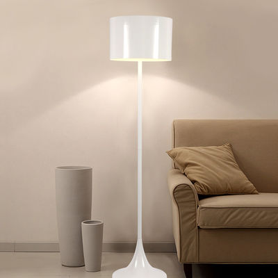 Nordic Simple Designer Floor Lights for Living Room sSofa Bedroom Study Black led stand light(WH-MFL-58)