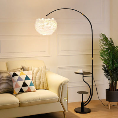 Romantic Feather Floor Lamp, Sofa Vertical Table Lamp for Living Room Bedroom Bedside Lamp(WH-MFL-87)