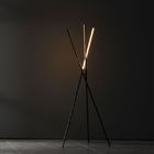 Modern Art Design Led Floor Lamp for Home Living Room Bedroom modern minimalistic lamp(WH-MFL-132)