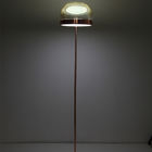 Modern Lighting Led Floor Lamp Smoke Or Copper Glass Standing Lamp Equatore LED Floor Lamp(WH-MFL-159)
