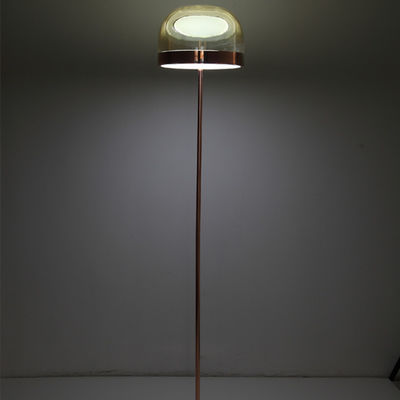 Modern Lighting Led Floor Lamp Smoke Or Copper Glass Standing Lamp Equatore LED Floor Lamp(WH-MFL-159)