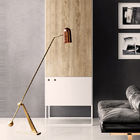 Modern Metal Brass Floor Lamp Living Room Bedroom Beside Stasis Floor Lamp(WH-MFL-182)