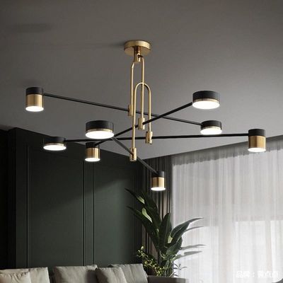 Wrought iron chandelier Gold Black spider lamp For Home Living Room Decoration Chandelier(WH-MI-269)