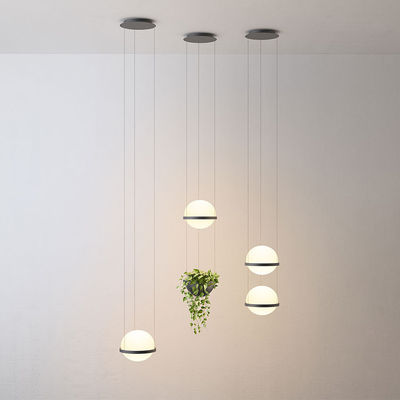 Led plant pendant light glass ball lamp creative Art pendant lamp country restaurant cafe bar suspension Lamp(WH-AP-125)