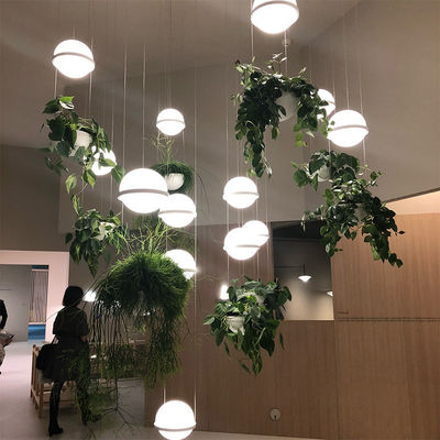 Led plant pendant light glass ball lamp creative Art pendant lamp country restaurant cafe bar suspension Lamp(WH-AP-125)