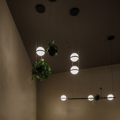 Led plant pendant light glass ball lamp creative Art pendant lamp country restaurant cafe bar suspension Lamp(WH-AP-125)