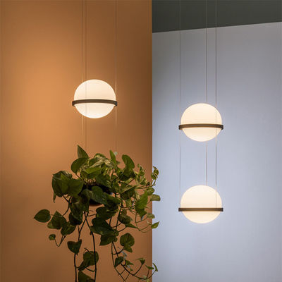 Led plant pendant light glass ball lamp creative Art pendant lamp country restaurant cafe bar suspension Lamp(WH-AP-125)