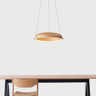 Nordic iron pendant light modern metal lampshade suspension restaurant study kitchen loft Pendant Light(WH-AP-144)