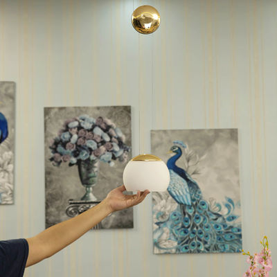 Post modern Mini Designer ball pendant light design Study Simple rose gold lamp restaurant  Pendant Lamp(WH-AP-161)