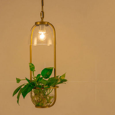 Pastoral Pendant Light American Style Restaurant Creative Cafe hotel decor Glass Pendant Light Hanging lamp(WH-AP-194)