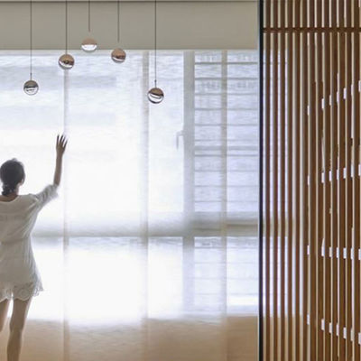 Nordic Gold LED Modern Glass Ball Pendant Lights Indoor Lighting Home Decoration Living Room Pendant Light(WH-AP-229)